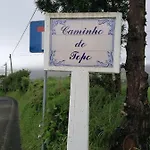 Mendonca Проживание в семье *