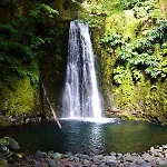 Mendonca * Povoacao (Sao Miguel)